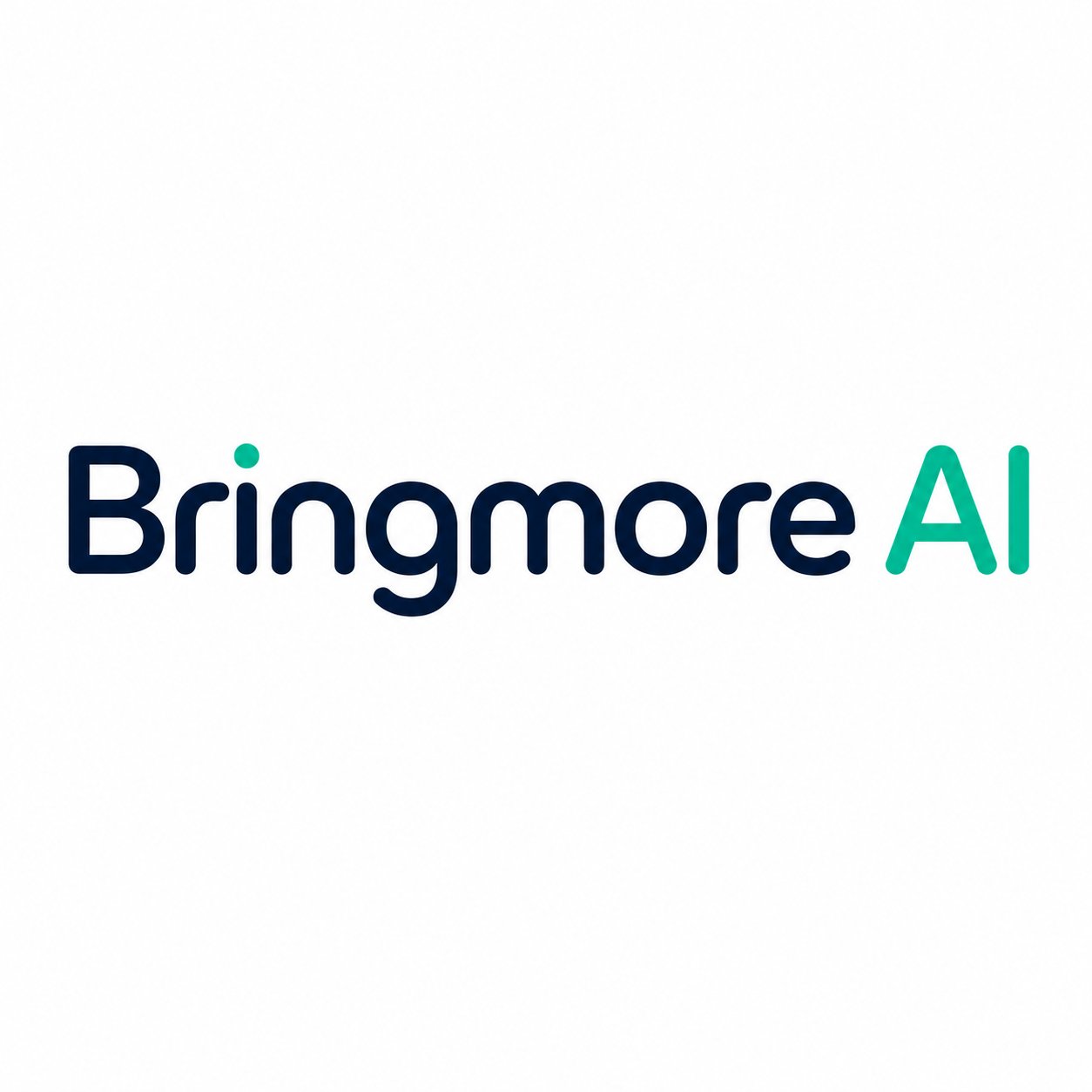 Bringmore AI